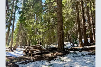 84 Yonkalla Trail, Graeagle, CA 96103 - Photo 19