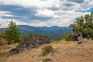 245 Eagles Nest, Portola, CA 96122 - Photo 13