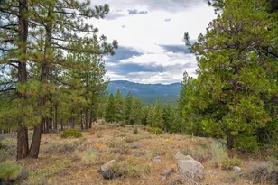 245 Eagles Nest, Portola, CA 96122 - Photo 5