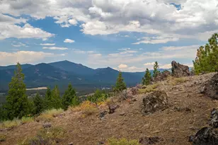 245 Eagles Nest, Portola, CA 96122 - Photo 15