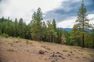 321 Eagles Nest, Portola, CA 96161 - Photo 11