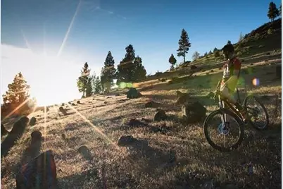 321 Eagles Nest, Portola, CA 96161 - Photo 17