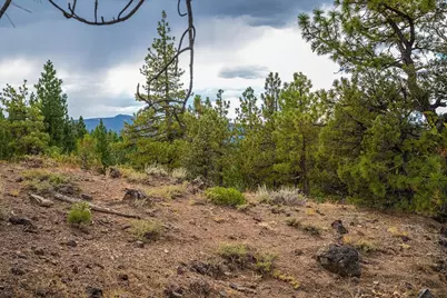 321 Eagles Nest, Portola, CA 96161 - Photo 9