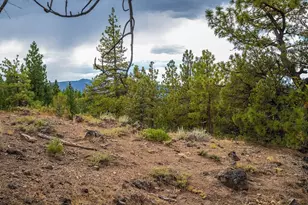 321 Eagles Nest, Portola, CA 96161 - Photo 9