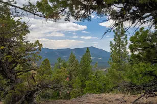 321 Eagles Nest, Portola, CA 96161 - Photo 3