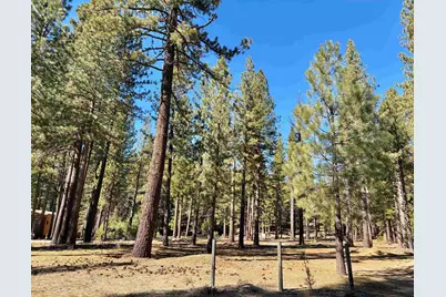 329 Clio State 40A Road, Clio, CA 96106 - Photo 1