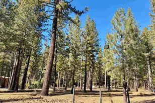 329 Clio State 40A Rd, Clio, CA 96106 - Photo 1