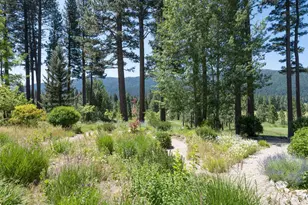 134 Quail View Cir, Clio, CA 96106 - Photo 37