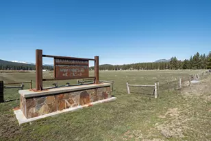 213 Cody Dr, Clio, CA 96106 - Photo 41