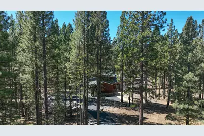 213 Cody Drive, Clio, CA 96106 - Photo 39