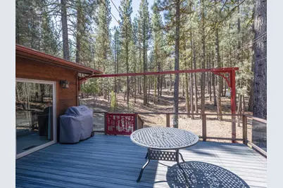 213 Cody Drive, Clio, CA 96106 - Photo 17