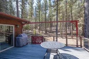 213 Cody Dr, Clio, CA 96106 - Photo 17
