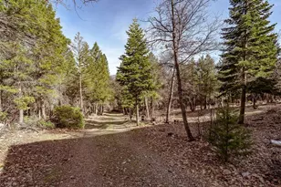 1771 Diamond Mountain Rd, Greenville, CA 95947 - Photo 23