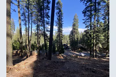 168 Slim Drive, Chester, CA 96137 - Photo 5