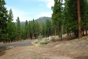 307 Big Cedar Ln, Portola, CA 96122 - Photo 1