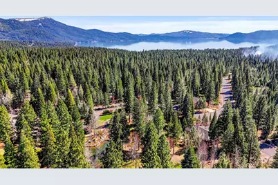 48 Foxglenn Drive, Lake Almanor, CA 96137 - Photo 49