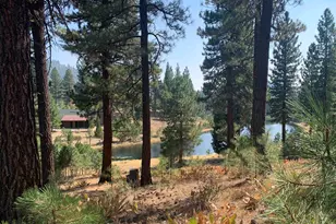 300 Blacktail Ridge, Portola, CA 96122 - Photo 1