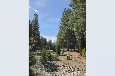 762 Blacktail Ridge, Portola, CA 96122 - Photo 3