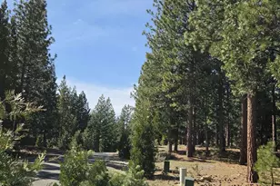 762 Blacktail Ridge, Portola, CA 96122 - Photo 3