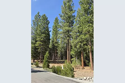 762 Blacktail Ridge, Portola, CA 96122 - Photo 1