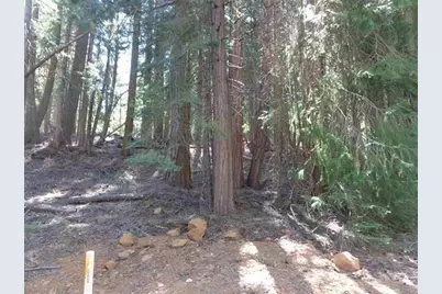 429 Big Meadows Road, Canyondam, CA 95923 - Photo 3