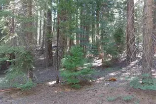 429 Big Meadows Rd, Canyondam, CA 95923 - Photo 1