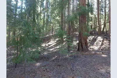 411 Big Meadows Road, Canyondam, CA 95923 - Photo 5