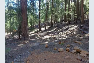411 Big Meadows Road, Canyondam, CA 95923 - Photo 1