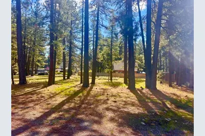 244 Watson Road, Chester, CA 96020 - Photo 3