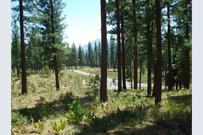 69 Blacktail Ridge, Portola, CA 96122 - Photo 5