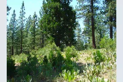 69 Blacktail Ridge, Portola, CA 96122 - Photo 3