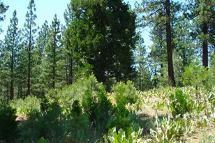 69 Blacktail Ridge, Portola, CA 96122 - Photo 3
