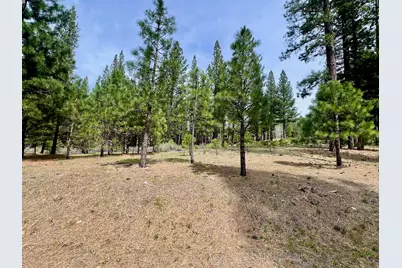 153 Saddle Ridge Road, Clio, CA 96106 - Photo 1