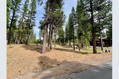 153 Saddle Ridge Road, Clio, CA 96106 - Photo 5