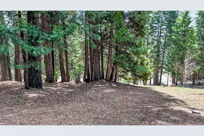 120 Top Of The West Drive, Lake Almanor West, CA 96020 - Photo 31