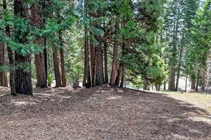 120 Top of the W Dr, Lake Almanor West, CA 96020 - Photo 31