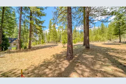 118 Saddle Ridge Road, Clio, CA 96106 - Photo 13
