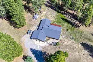 154 Cody Dr, Clio, CA 96103 - Photo 49