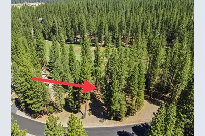 715 Miner's Passage, Clio, CA 96106 - Photo 13