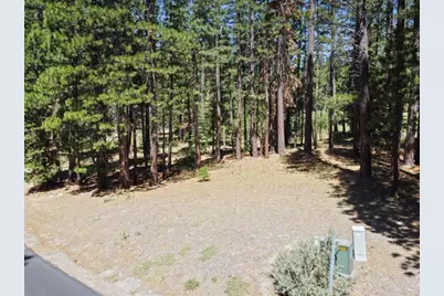 715 Miner's Passage, Clio, CA 96106 - Photo 5