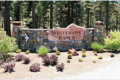 715 Miner's Passage, Clio, CA 96106 - Photo 17