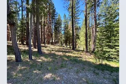 715 Miner's Passage, Clio, CA 96106 - Photo 3