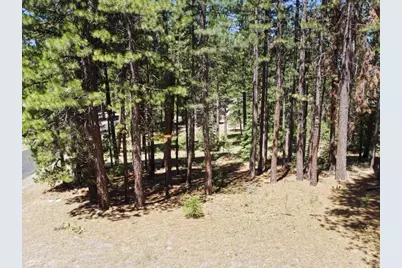 715 Miner's Passage, Clio, CA 96106 - Photo 7
