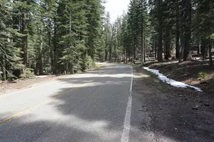 8517 Big Creek Rd, Bucks Lake, CA 95956 - Photo 33