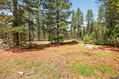 211 Carol Avenue, Chester, CA 96020 - Photo 25