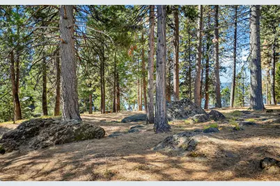 6545 Dyer Drive, Lake Almanor, CA 96137 - Photo 43