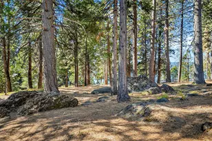 6545 Dyer Dr, Lake Almanor, CA 96137 - Photo 43