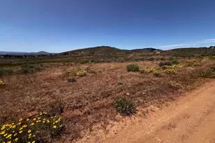 95015 Half Mile Rd, Portola, CA 96105 - Photo 3