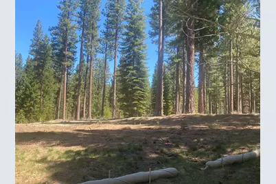 921 Prospector Drive, Clio, CA 96106 - Photo 3