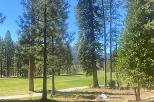 921 Prospector Dr, Clio, CA 96106 - Photo 1
